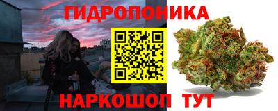 Альфа ПВП Нальчик