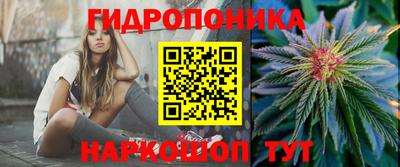 Альфа ПВП Нальчик
