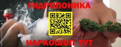 Альфа ПВП Нальчик